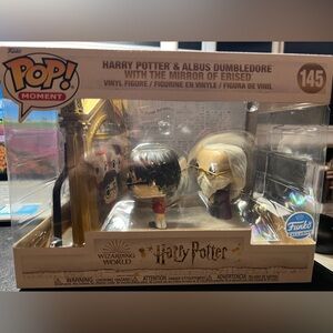 Harry Potter & Albus Dumbledore with the Mirror of Erised